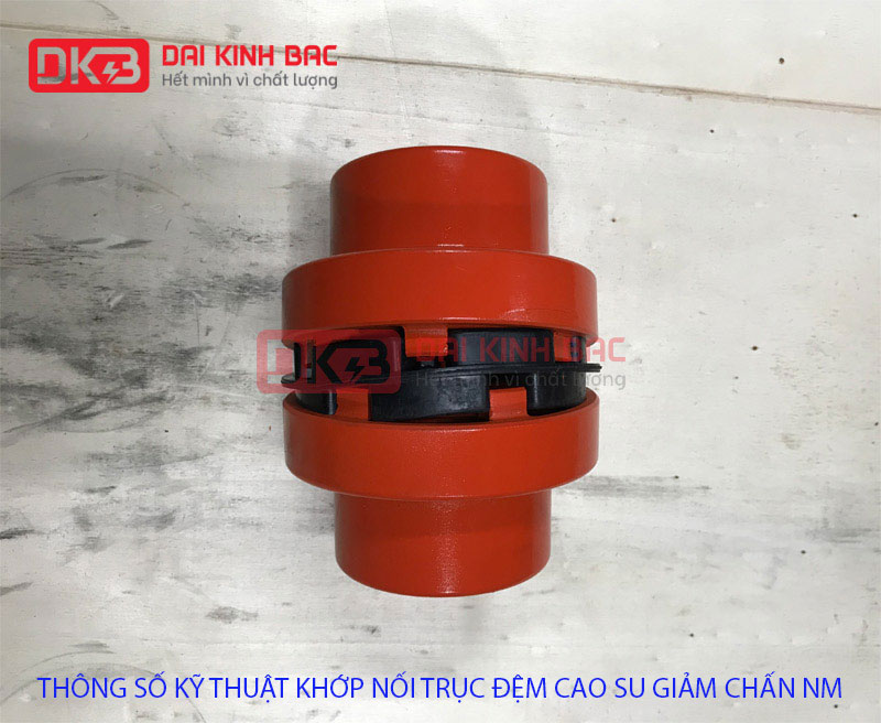thong so ky thuat khop noi dem cao su NM