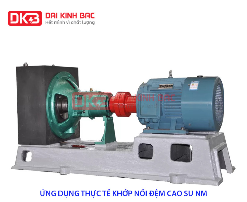 ung dung khop noi truc dem cao su NM